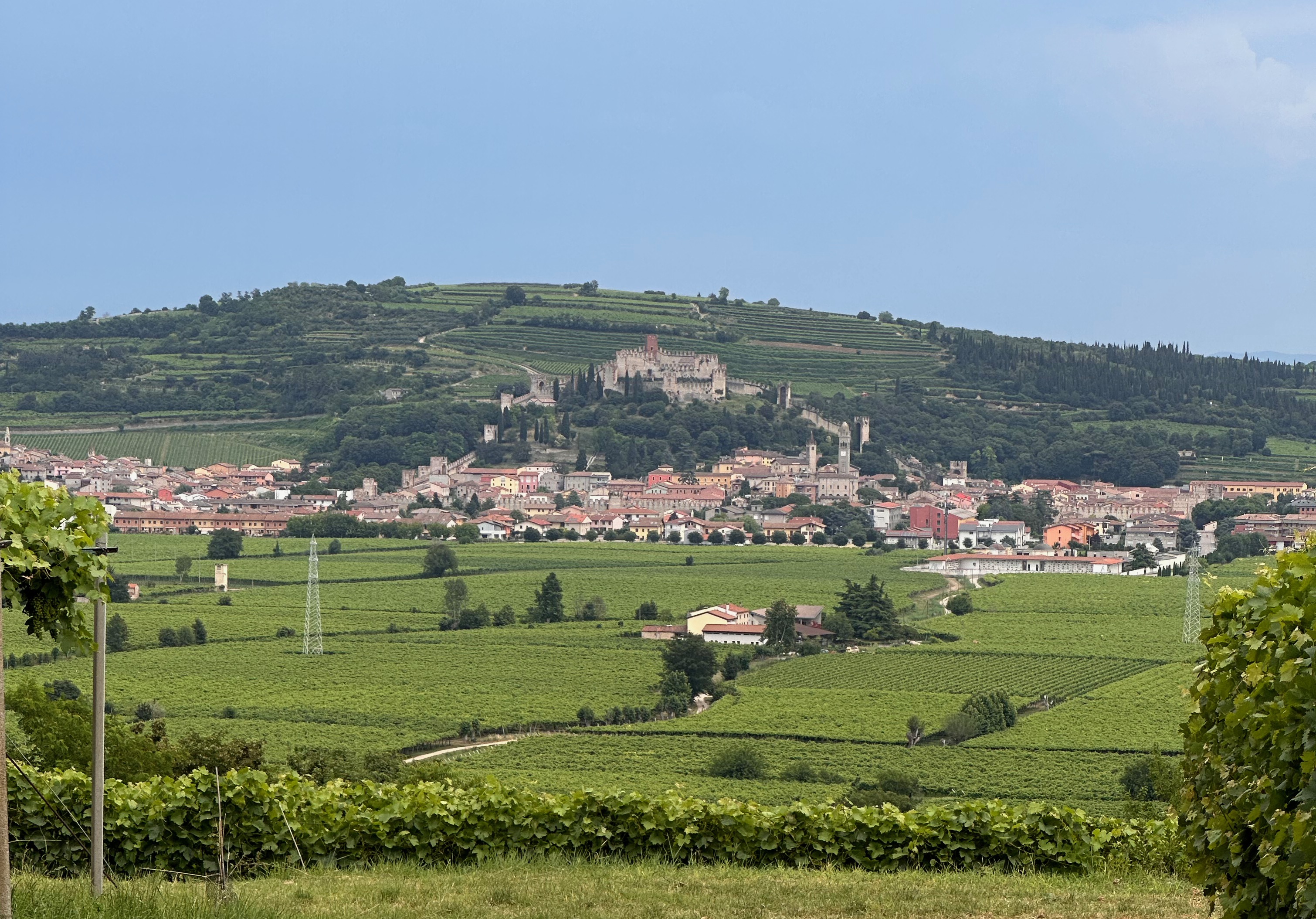Veneto Food & Wine Tour